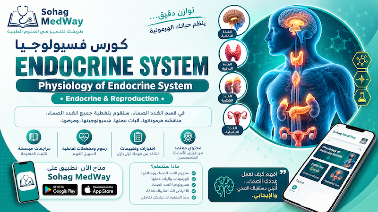 Physiology of Endocrine System