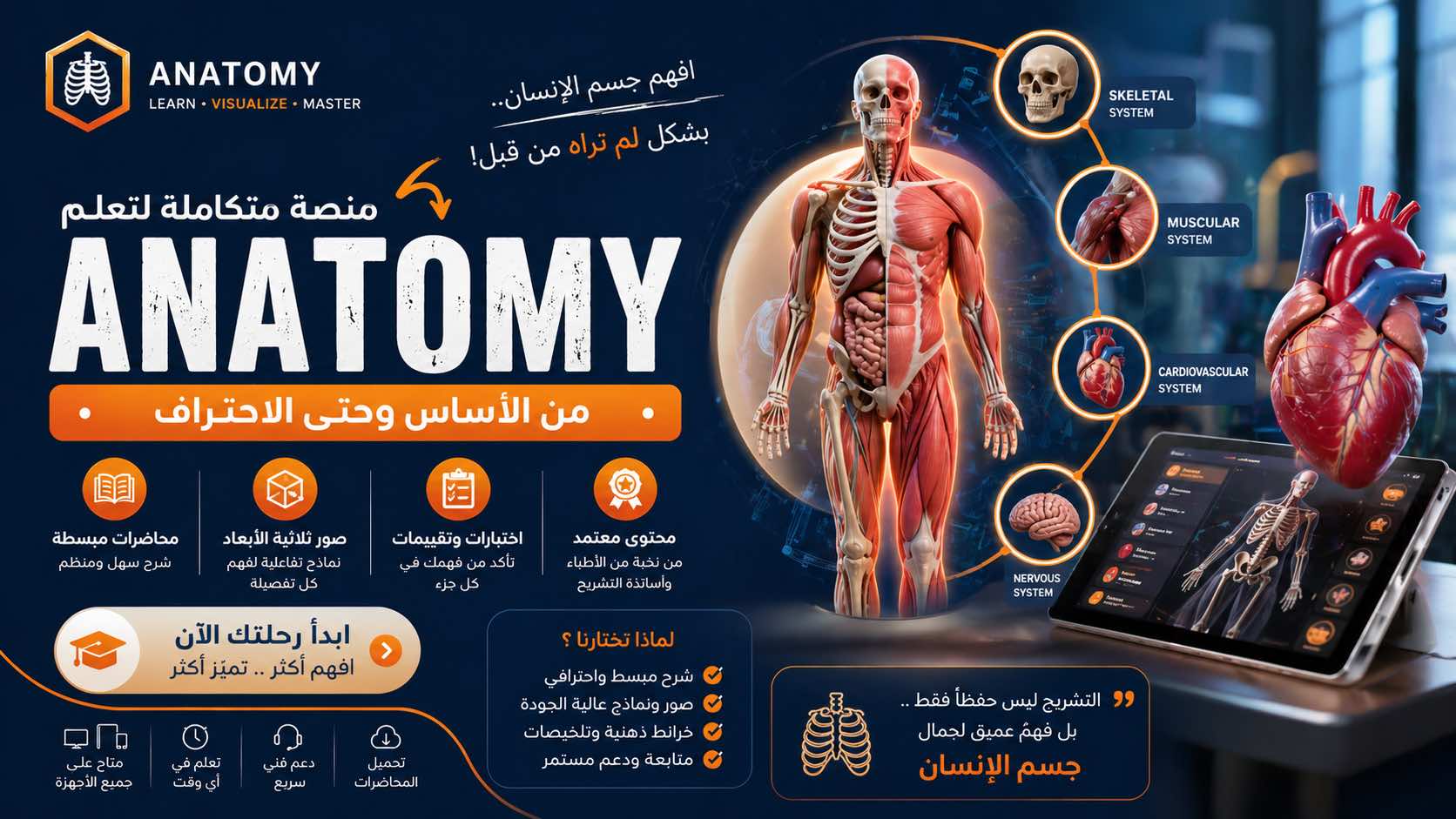 Anatomy